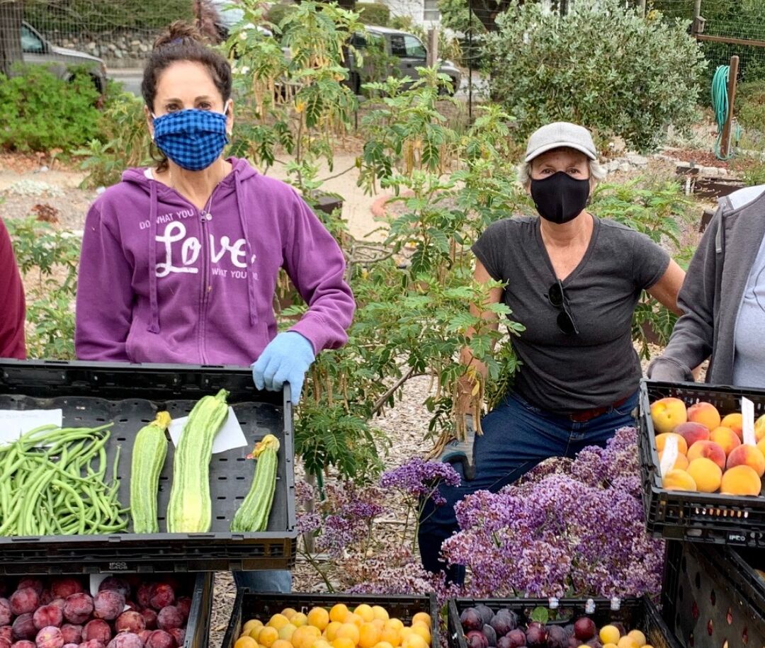 Pour soulager le stress, accéder à la nourriture, les gens se sont tournés vers le jardinage pendant la pandémie